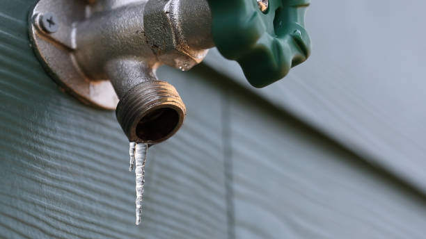 Best Plumbing Inspection Services  in Bunkie, LA